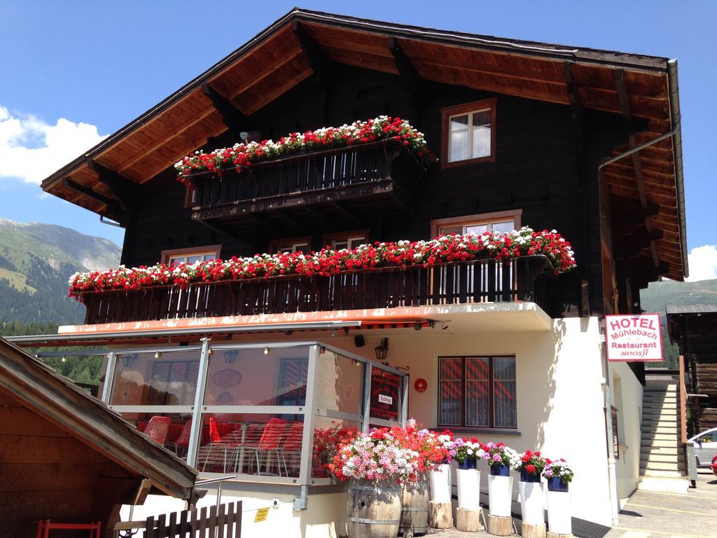 Hotel Haus Muehlebach Ernen Exteriör bild